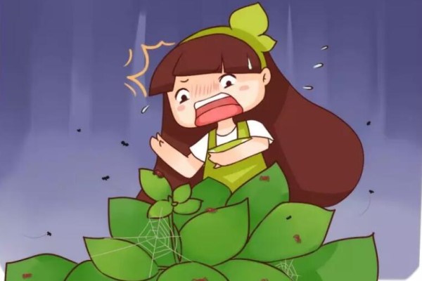 盆里這些蟲，再不趕跑，花立馬就死！
