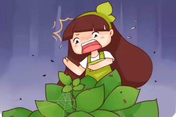 泡沫板套盆上，放水一沖，蟲子全死光！