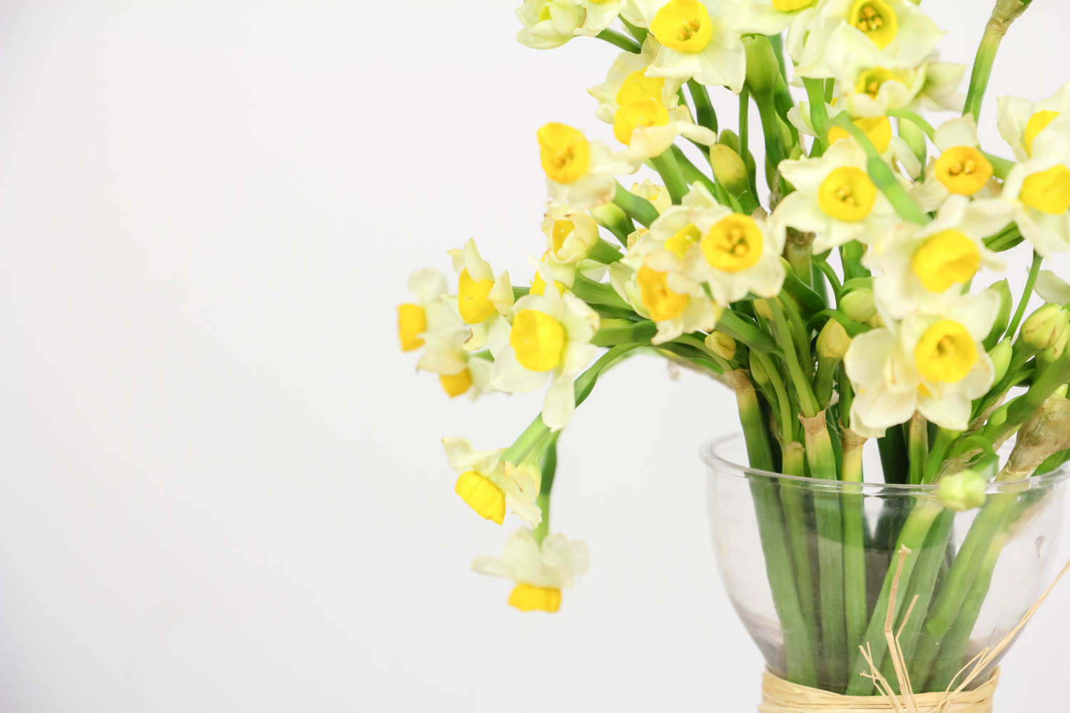 水養(yǎng)水仙花的養(yǎng)殖方法，多久換一次水